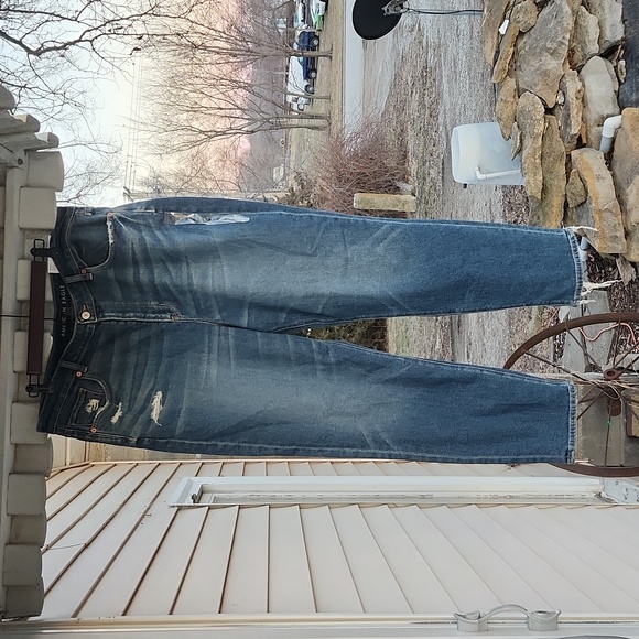 NWT American Eagle 20 Long 35 W High V-Rise Mom Jeans - Picture 9 of 15